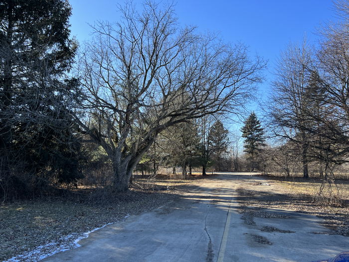 Romeo Golf & Country Club - Driveway Path Jan 14 2023 (newer photo)